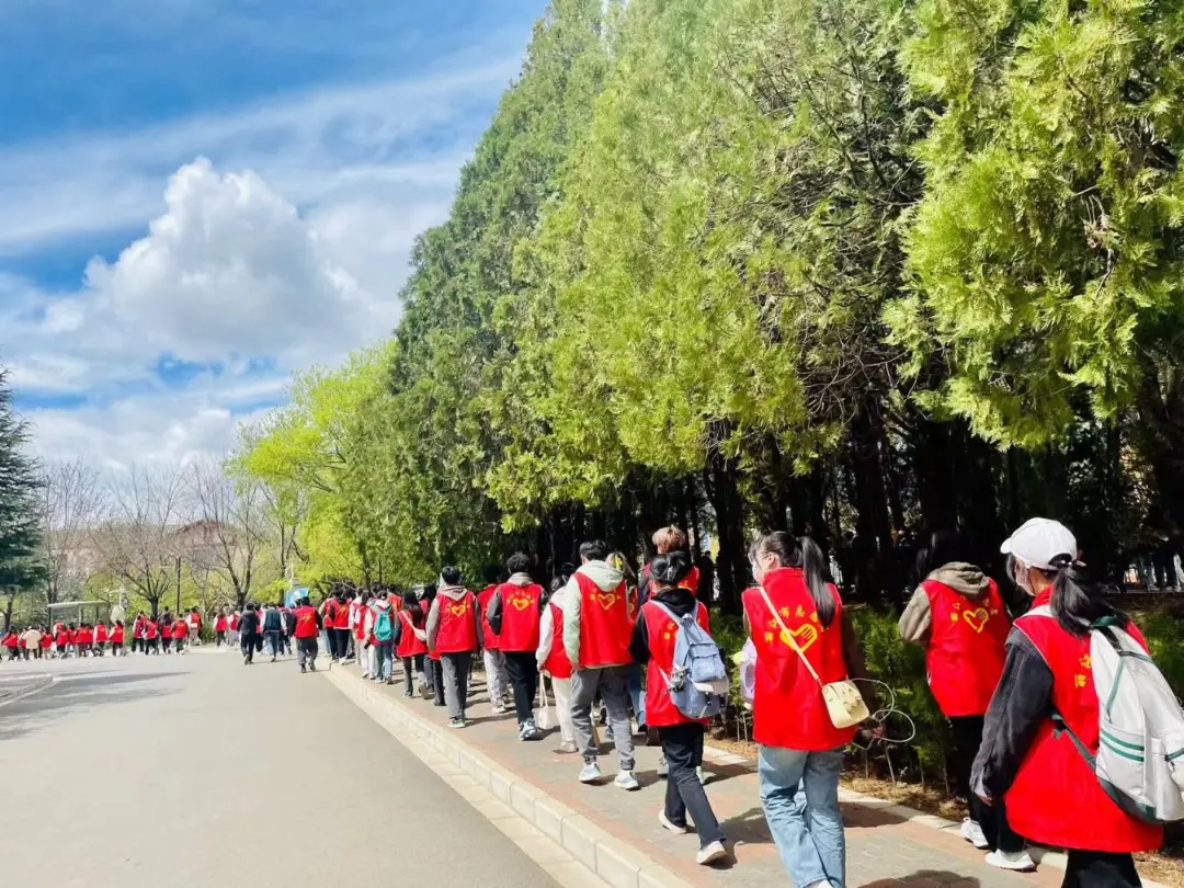 网游之死神传承：普通大学生的虚拟与现实交织之旅