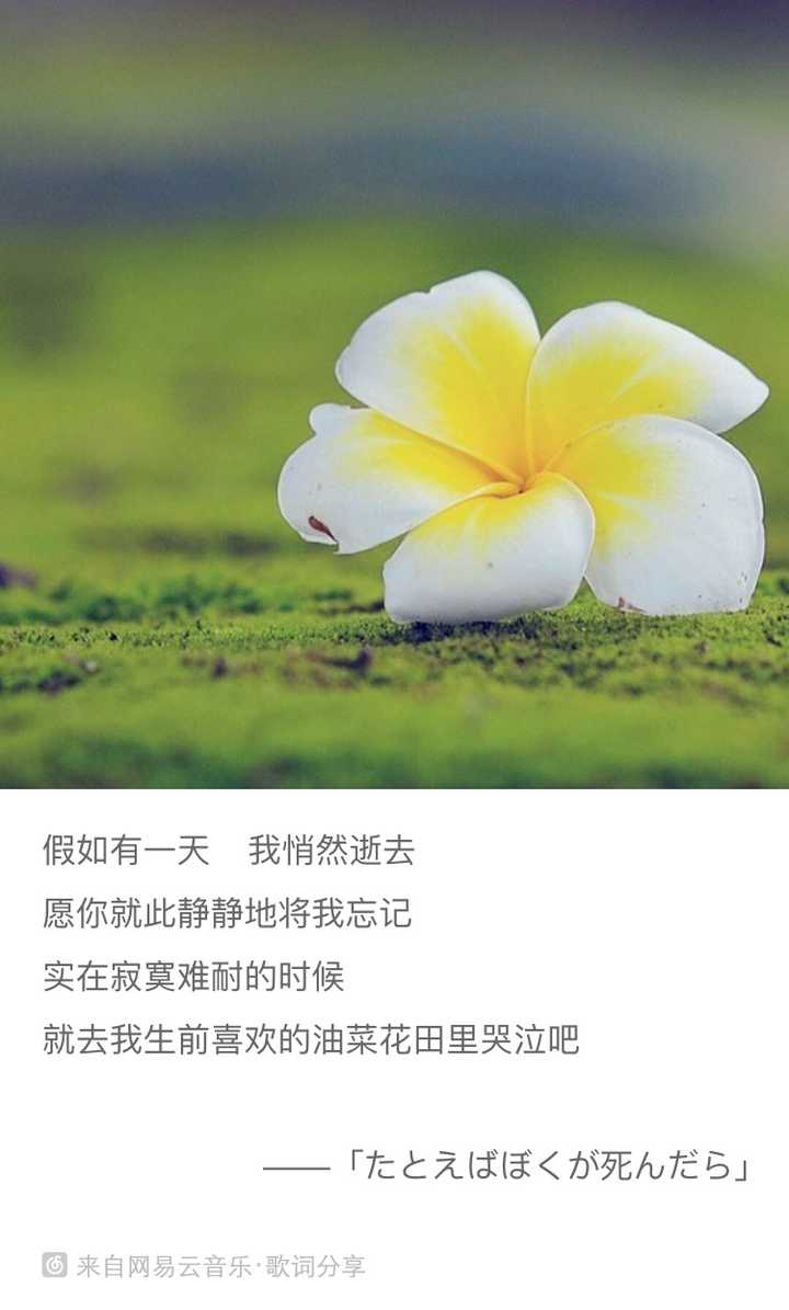 动漫十大悲伤歌曲-十大悲伤动漫歌曲,哪一首最能触动你的心灵? 动漫十大悲伤歌曲-十大悲伤动漫歌曲,哪一首最能触动你的心灵?