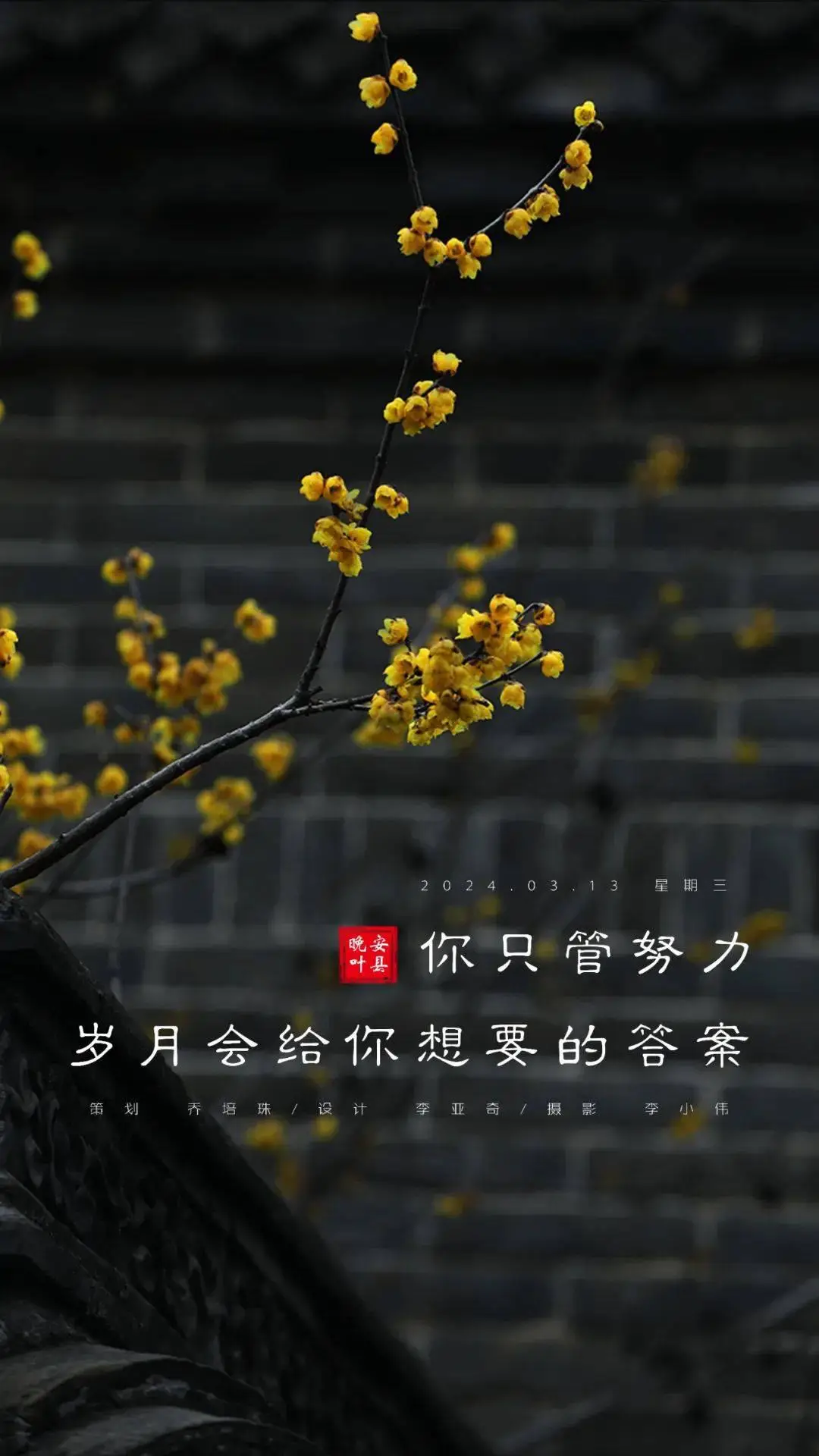 上海动漫学院_上海动漫学院招生条件_上海动漫学院怎么样