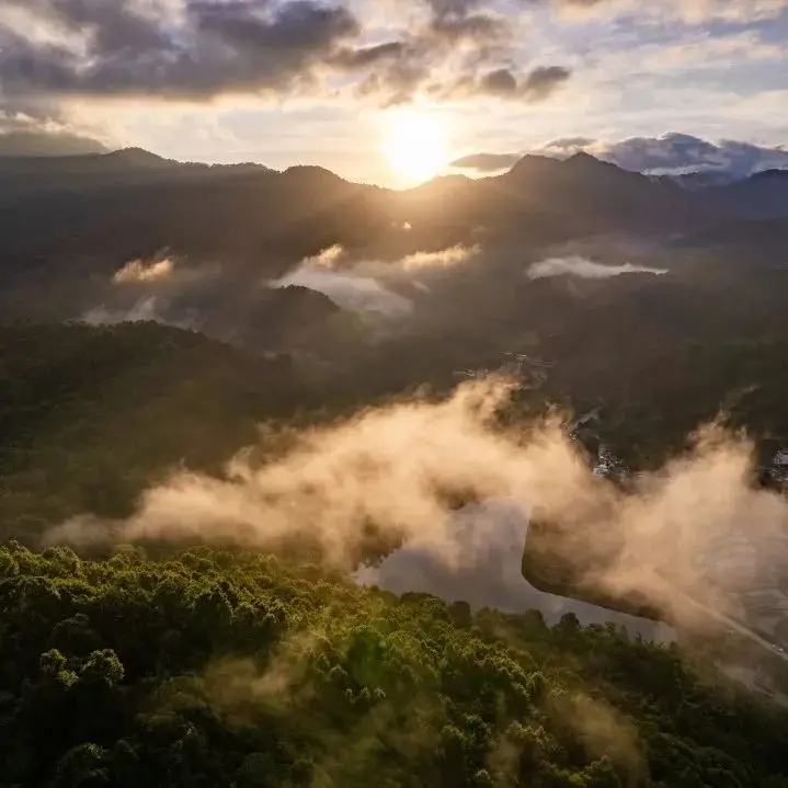 五指山游戏平台_五指山游戏怎么玩_游戏五指山
