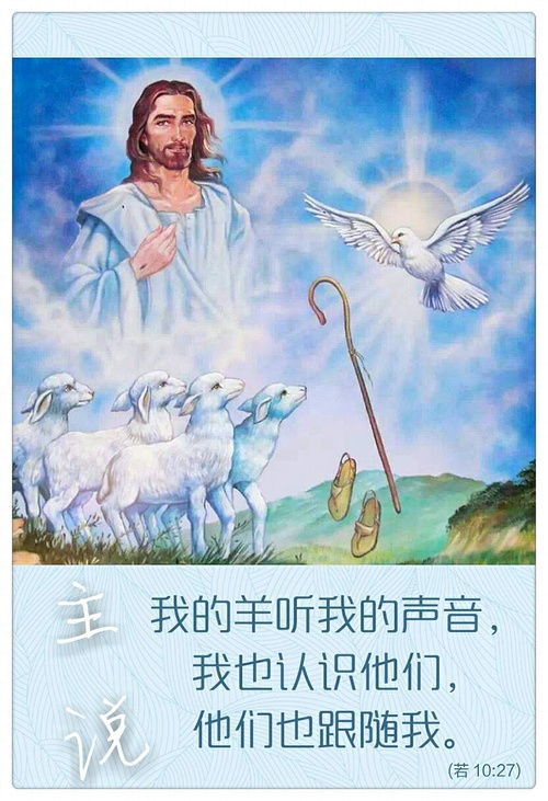 主内圣经,您的灵性成长伴侣