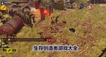 人类游乐场4 