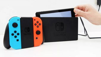 怀德花园switch游戏 