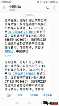 解压猫咪游戏手机安卓2024官方版v1.0.0 