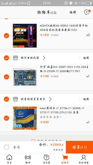 怎么样才能不当社畜:妻子的故事 