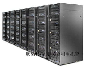 蛋仔派对网易服务器游戏版本下载安装 