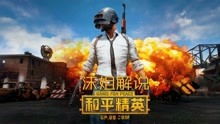 吃鸡游戏正版,战火重燃