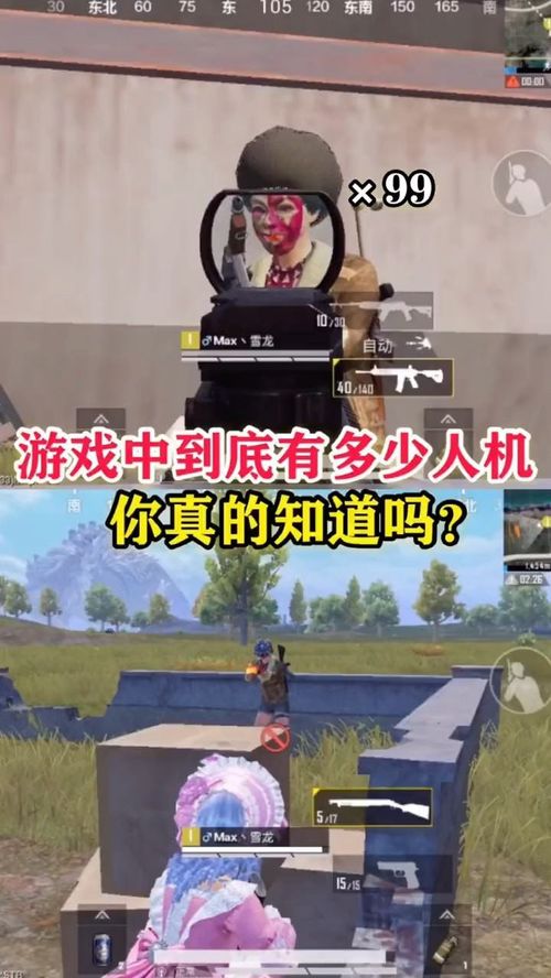 代号真实中文版 